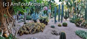 foto-vacanta la Descoperă zona Marrakesh