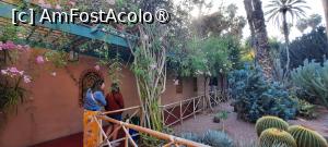 foto-vacanta la Descoperă zona Marrakesh