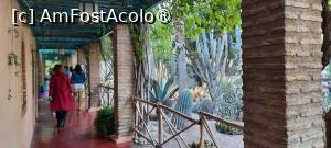 foto-vacanta la Descoperă zona Marrakesh