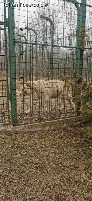foto-vacanta la Grădina zoologică Bucov