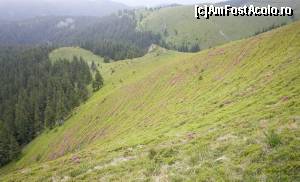 foto-vacanta la La pas prin Munții Ciucaș