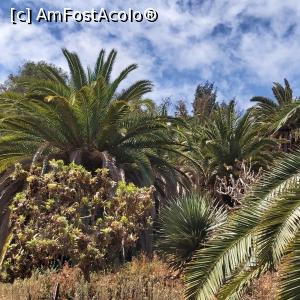 foto-vacanta la Vacanța în Tenerife