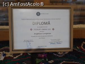 P03 [MAY-2024] .Diploma ”Tezaur uman viu”