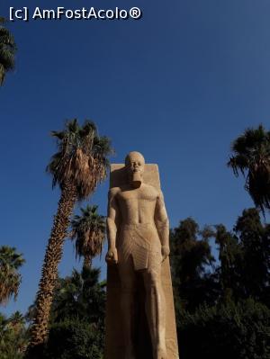 foto-vacanta la Descoperă Cairo