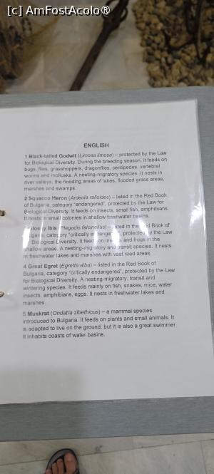 P37 [JUL-2025] Explicații în limba engleză - model.