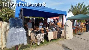 foto-vacanta la Periplu prin frumuseţile Buzăului