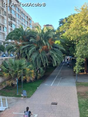 foto-vacanta la Vacanța în Valencia