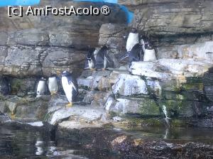 foto-vacanta la Vacanța în Valencia