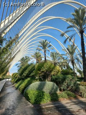 foto-vacanta la Vacanța în Valencia