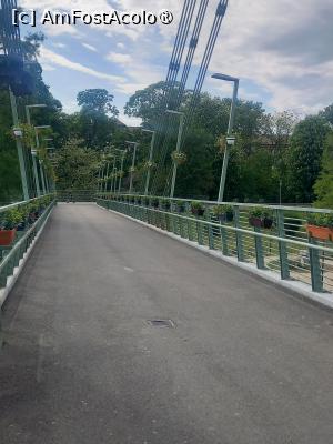 P22 [MAY-2024] Podul peste Mureș