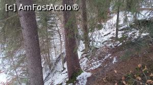 foto-vacanta la Clermont Hotel