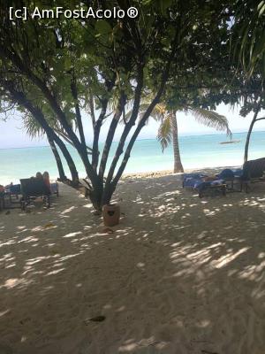 foto-vacanta la Vacanța în Zanzibar