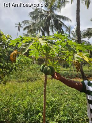 foto-vacanta la Vacanța în Zanzibar