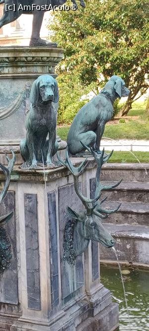 foto-vacanta la Descoperă Fontainebleau