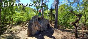 foto-vacanta la Descoperă Fontainebleau