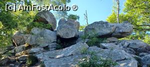 foto-vacanta la Descoperă Fontainebleau
