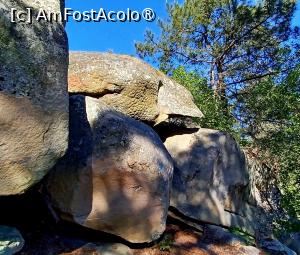 foto-vacanta la Descoperă Fontainebleau