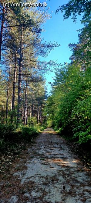 foto-vacanta la Descoperă Fontainebleau