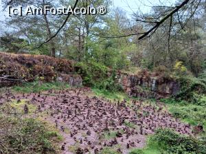 foto-vacanta la Descoperă Bretania