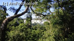 P25 [APR-2024]  --- (nu are descriere)