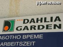 foto-vacanta la Dahlia Garden Hotel [Chaika]