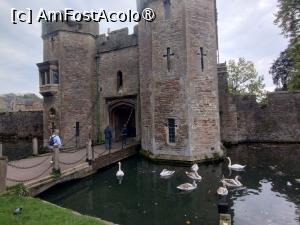 P15 [OCT-2025] Lebede la intrarea în Palatul Episcopal. Dacă priveşti cu atenţie se observă şi clopoţelul pe care îl zornăie când le e foame.