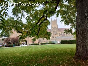 P04 [OCT-2025] Catedrala din Wells privită din grădinile Palatului episcopal
