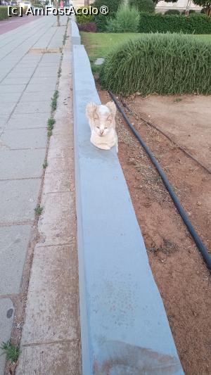 foto-vacanta la Descoperă Ayia Napa