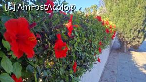 foto-vacanta la Descoperă Ayia Napa