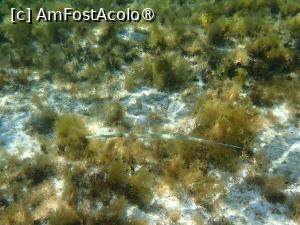 foto-vacanta la Descoperă Ayia Napa