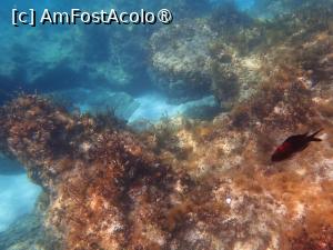 foto-vacanta la Descoperă Ayia Napa