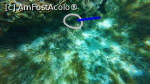 foto-vacanta la Descoperă Ayia Napa