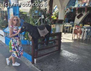 foto-vacanta la Descoperă Ayia Napa
