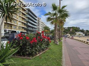 foto-vacanta la H Top Royal Star Hotel