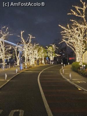 foto-vacanta la Turist în Tokyo
