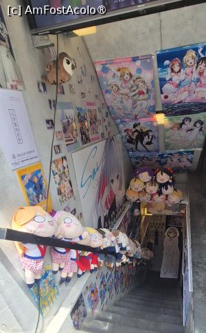 foto-vacanta la Turist în Tokyo