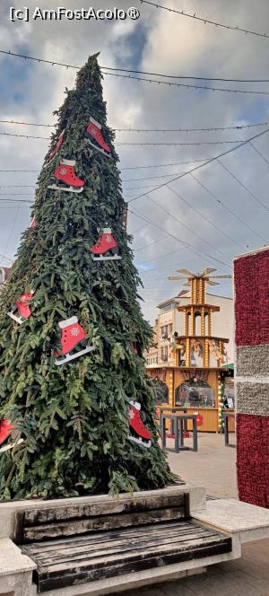 P03 [JAN-2026] La Târgul de Crăciun din Piața Ovidiu.