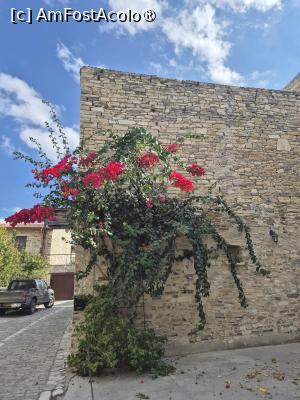 P25 [OCT-2025] Lefkara - prin sat