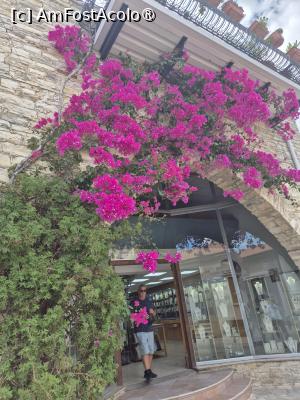 P28 [OCT-2025] Lefkara - prin sat