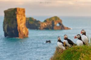 foto-vacanta la Descoperă Islanda