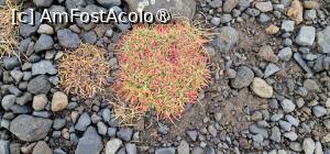 foto-vacanta la Descoperă Islanda