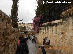 foto-vacanta la La pas prin Ierusalim