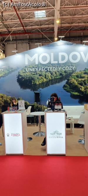 P25 [JAN-2026] Vinurile din Moldova.