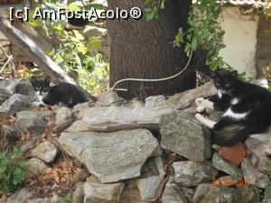 foto-vacanta la Descoperă Skopelos