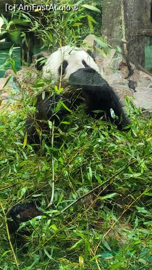 foto-vacanta la Descoperă Shanghai