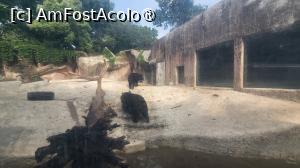 foto-vacanta la Descoperă Shanghai