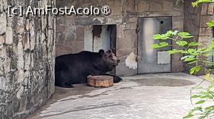 foto-vacanta la Descoperă Shanghai