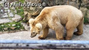 foto-vacanta la Descoperă Shanghai