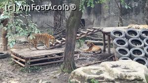 foto-vacanta la Descoperă Shanghai