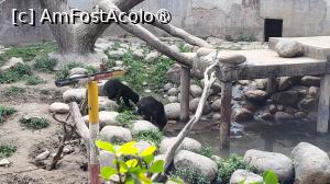 foto-vacanta la Descoperă Shanghai